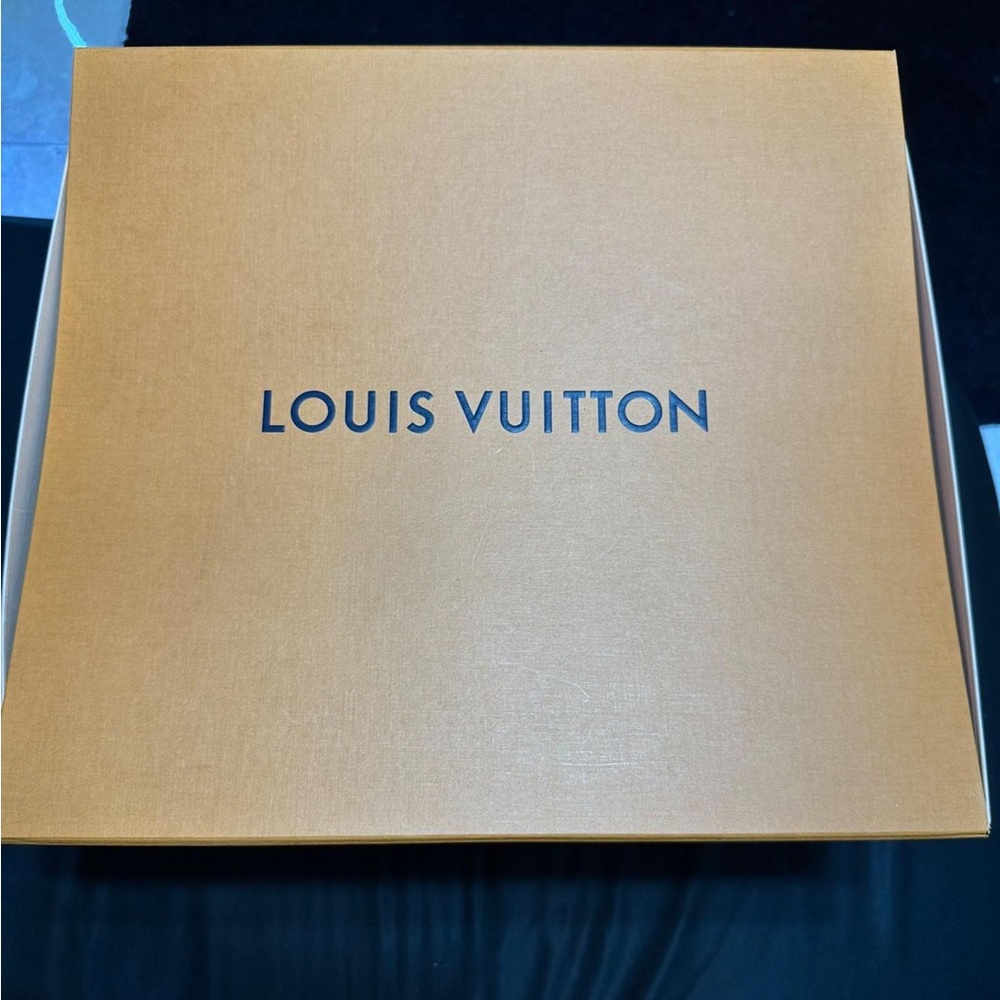 Louis Vuitton shoes